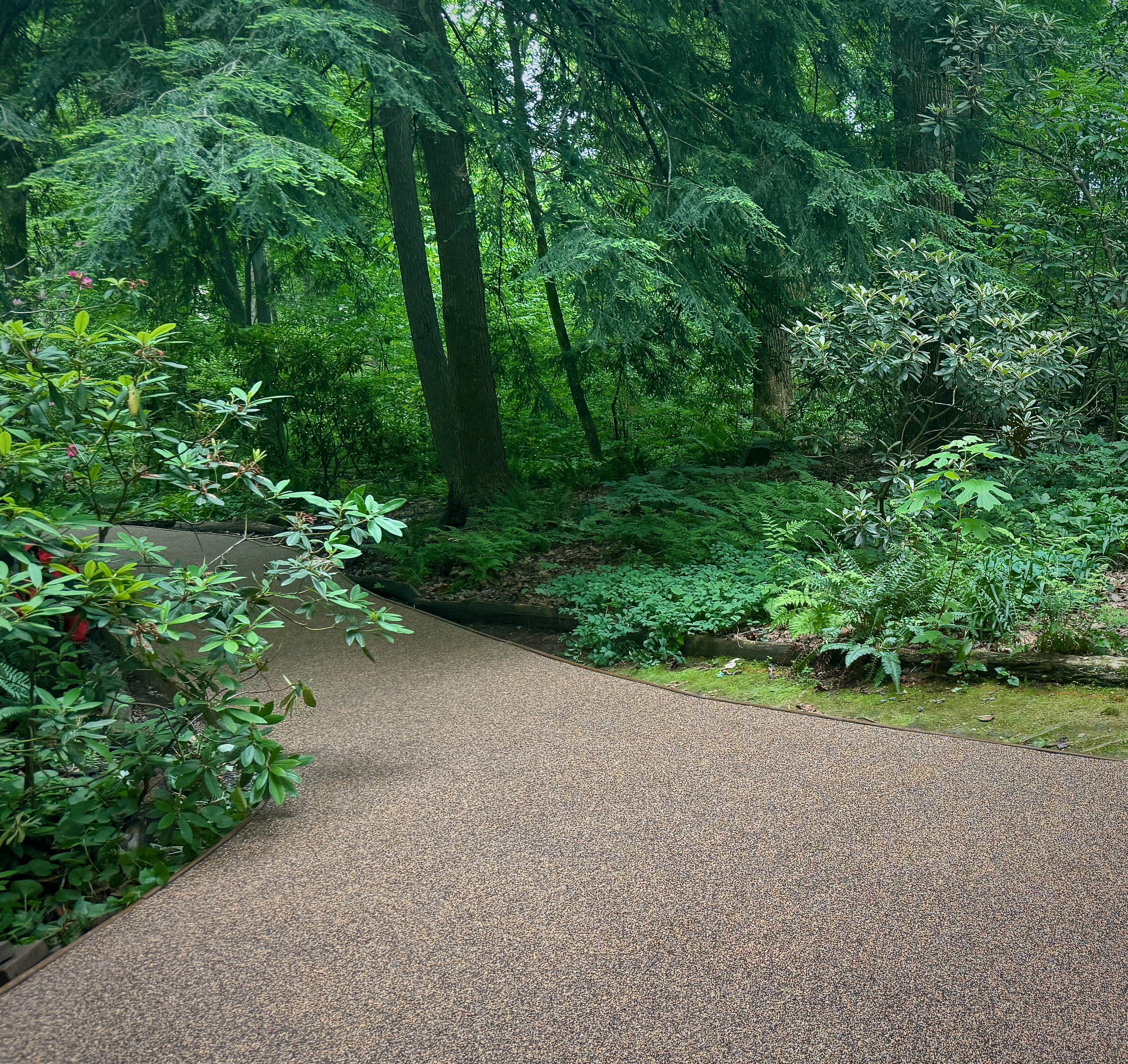 EcoPave EP-200 surface texture close-up